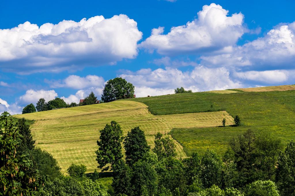 Chata Na Brzysku Pod Białką Leśnica Zewnętrze zdjęcie